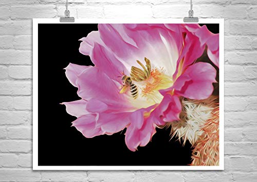 Цвете изкуството на пчелите и кактус от Мъри Болесты